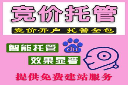 SEM竞价员实战案例分析：数据驱动决策
